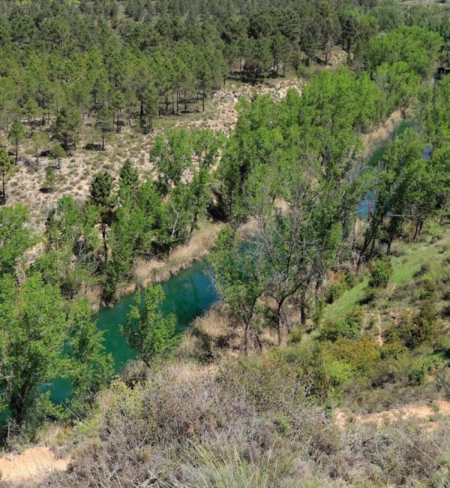 Casa Rural Guadiela San Pedro Palmiches 外观 照片